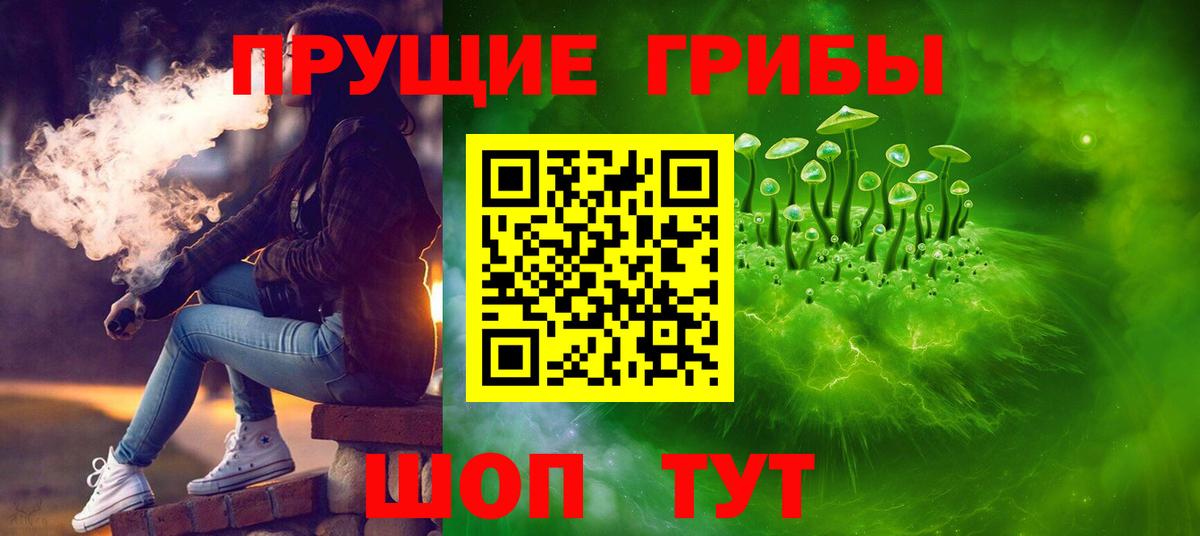 Каспийск  Псилоцибиновые грибы прущие грибы  Вход с VPN 