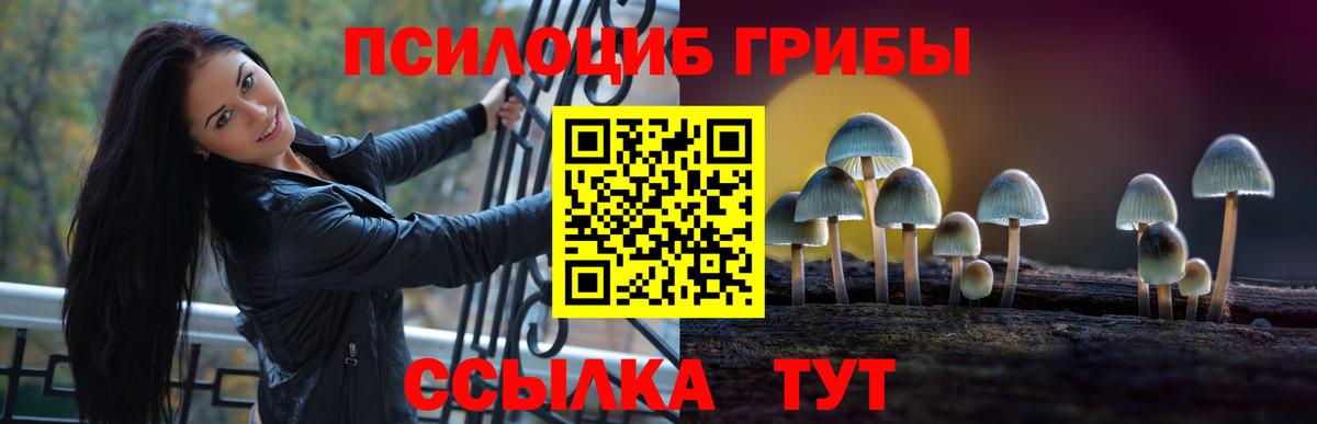Псилоцибиновые грибы прущие грибы Каспийск